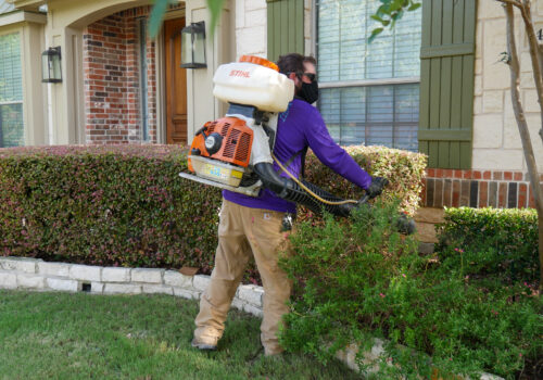 A man spraying for pests